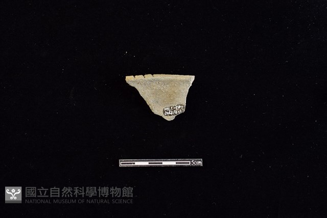 陶片藏品圖，第2張