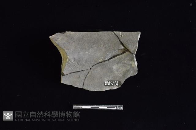 陶罐藏品圖，第2張