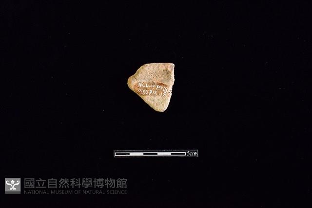 陶片藏品圖，第2張