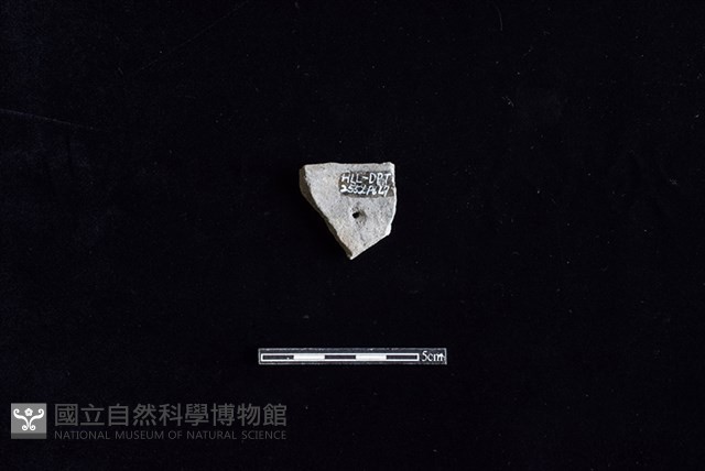 陶片藏品圖，第2張