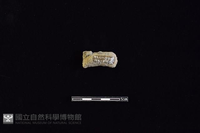 陶把藏品圖，第2張