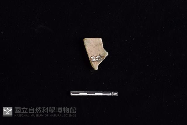 陶罐藏品圖，第2張