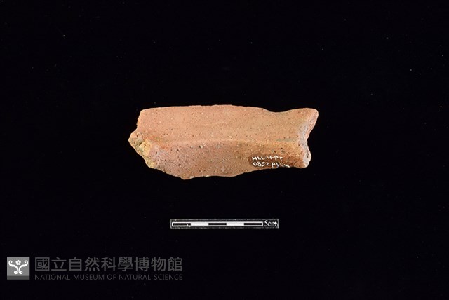 陶罐藏品圖，第2張