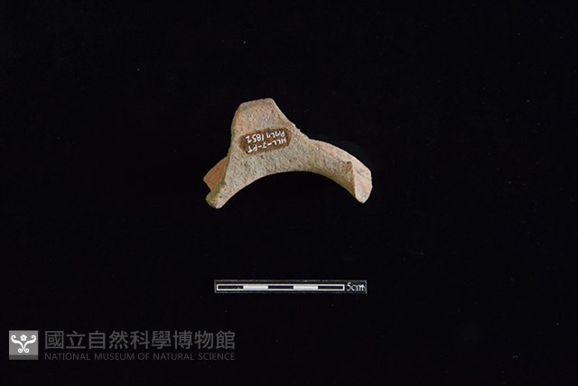 陶罐藏品圖，第2張