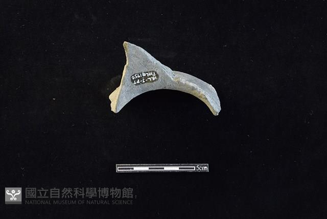 陶罐藏品圖，第2張