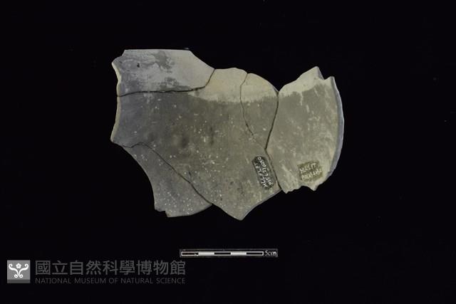 Accession Number:HLL-L-PT0232 Collection Image, Figure 2, Total 2 Figures