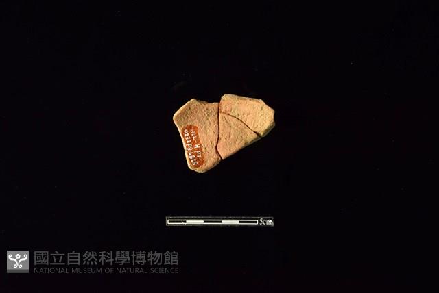 陶片藏品圖，第2張