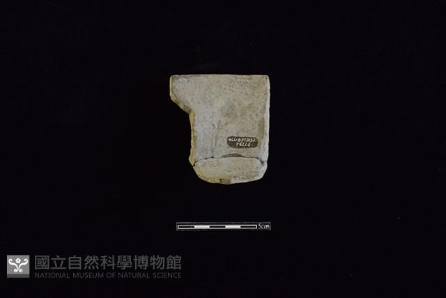 陶盆藏品圖，第2張