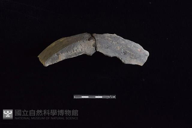 陶片藏品圖，第2張