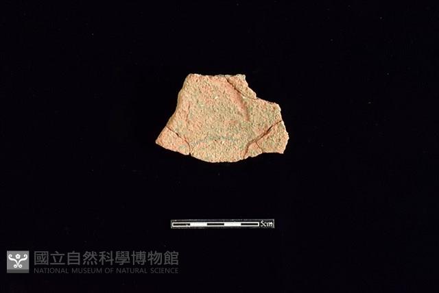 Accession Number:HLL-H PT0132 Collection Image, Figure 2, Total 2 Figures