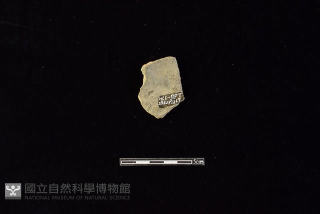 陶片藏品圖，第2張