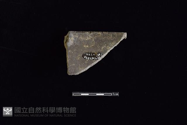 陶罐藏品圖，第2張