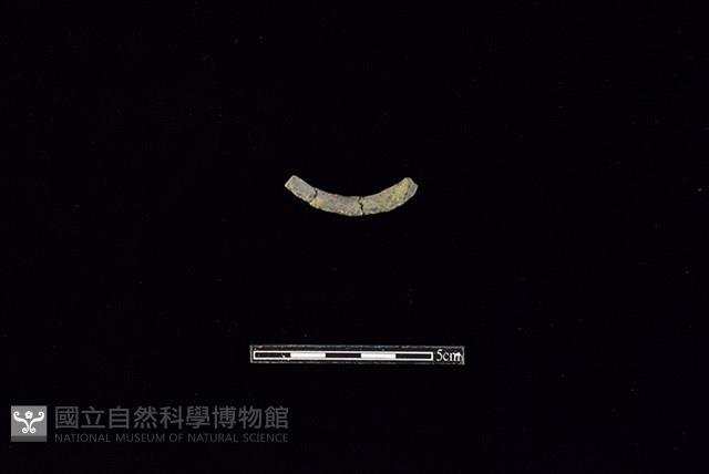 Accession Number:HLL-H PT0932 Collection Image, Figure 2, Total 2 Figures