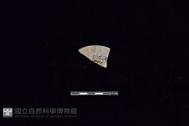 陶片藏品圖，第2張