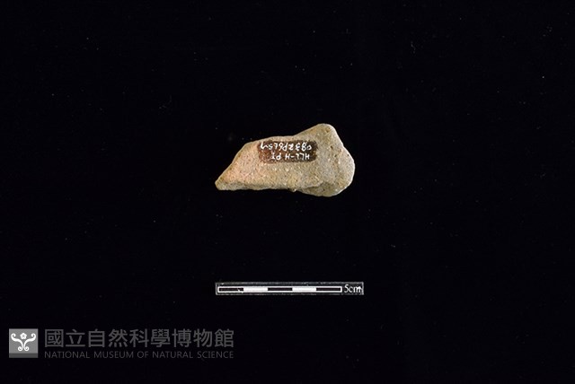 陶碗藏品圖，第2張