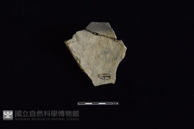 陶罐藏品圖，第2張