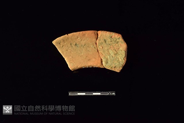 連杯形器藏品圖，第2張