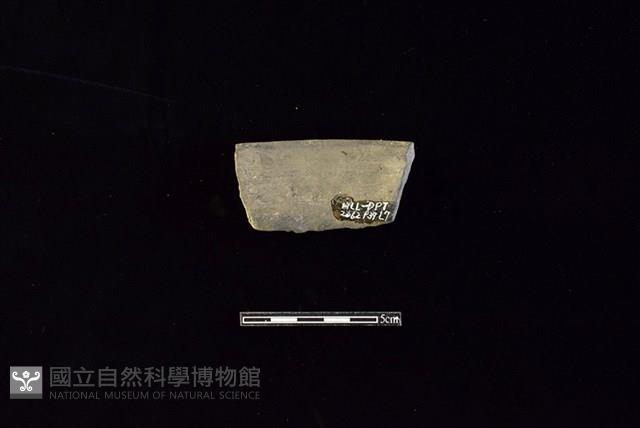 陶罐藏品圖，第2張