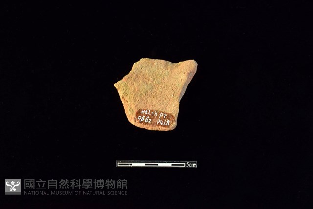 陶片藏品圖，第2張