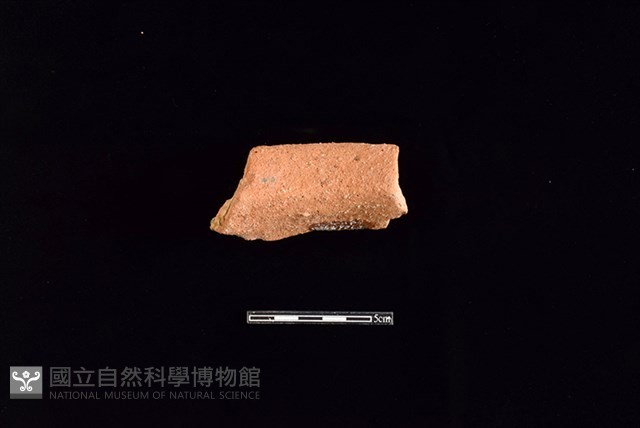 陶罐藏品圖，第2張