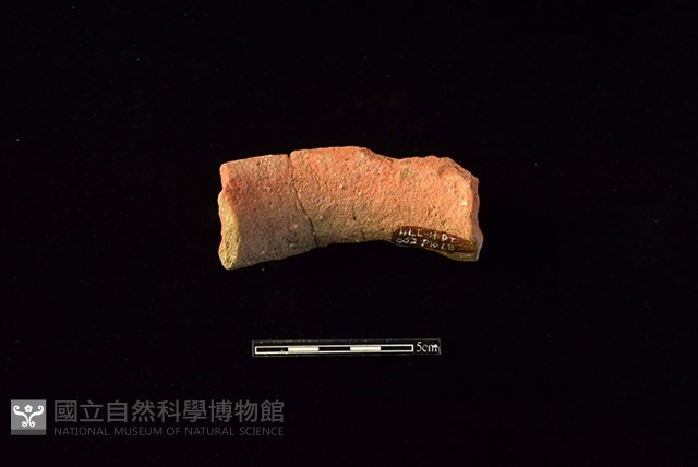 陶罐藏品圖，第2張