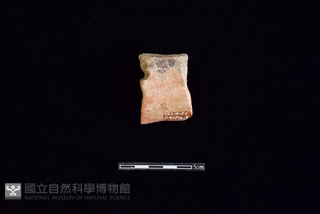 陶片藏品圖，第2張