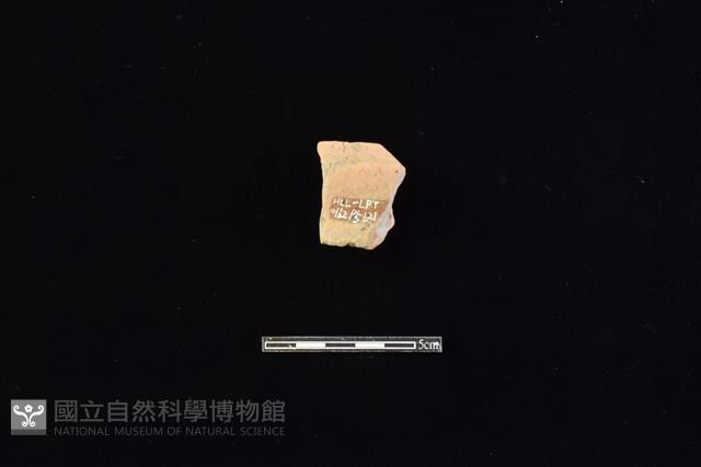 陶罐藏品圖，第2張