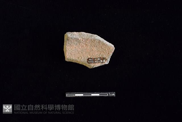 陶片藏品圖，第2張