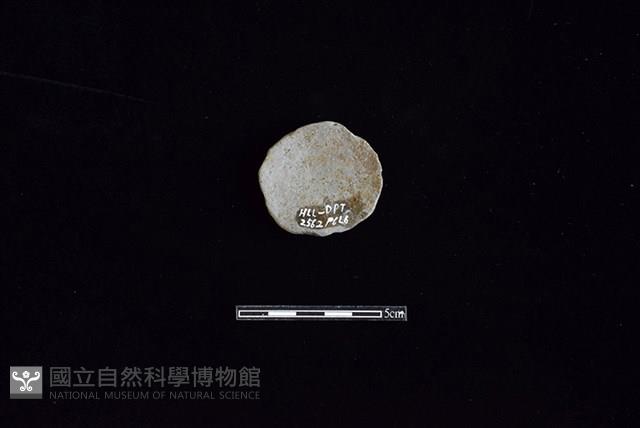 陶片藏品圖，第2張