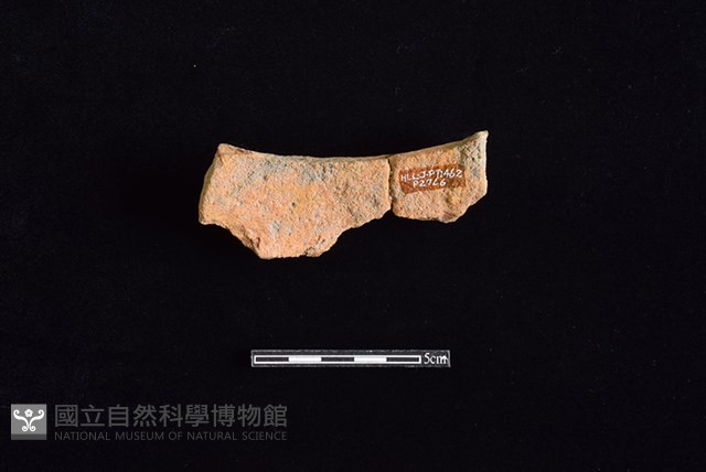 陶罐藏品圖，第2張