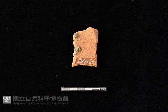陶片藏品圖，第2張