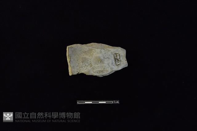 陶片藏品圖，第2張