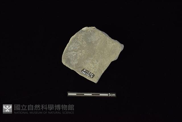 陶片藏品圖，第2張