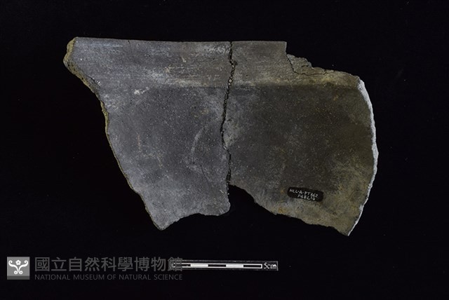 陶罐藏品圖，第2張