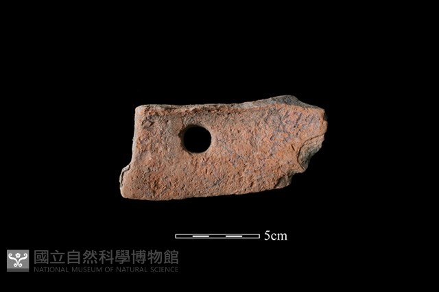 陶片藏品圖，第2張