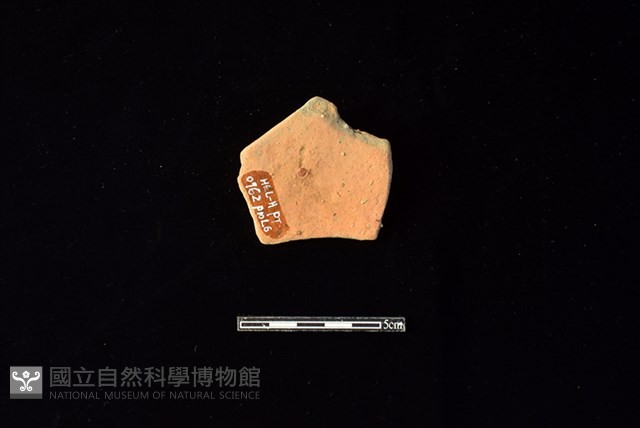 陶片藏品圖，第2張