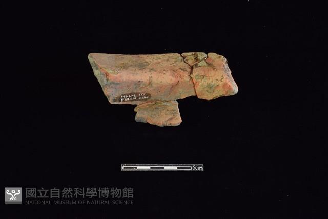 陶罐藏品圖，第2張