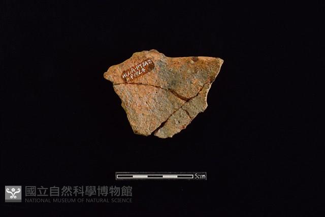 Accession Number:HLL-A PT0242 Collection Image, Figure 2, Total 2 Figures