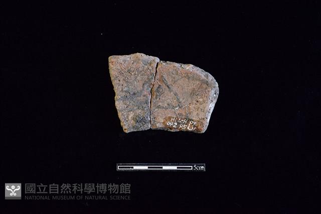 陶片藏品圖，第2張