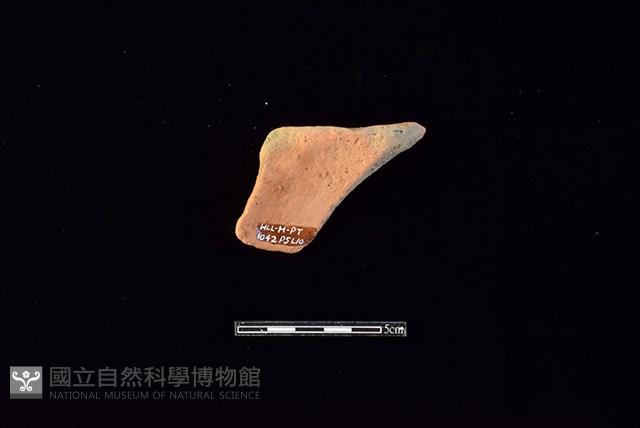 陶片藏品圖，第2張