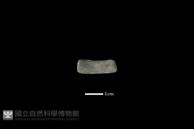 陶環藏品圖，第2張