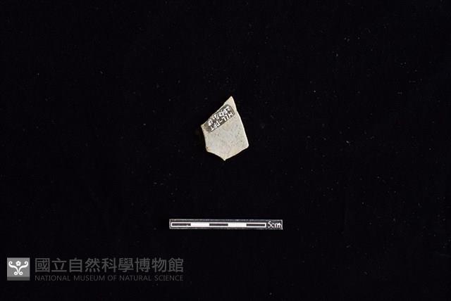 陶片藏品圖，第2張