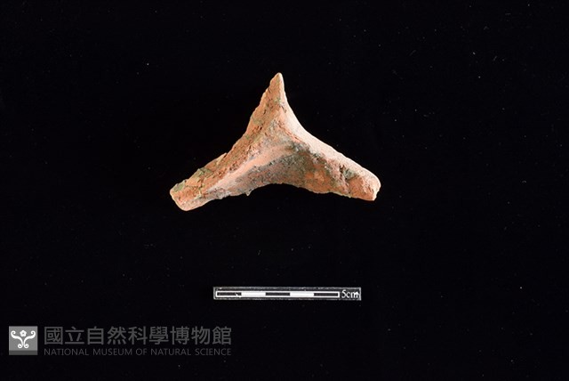 連杯形器藏品圖，第2張