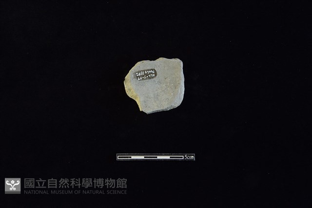 陶片藏品圖，第2張