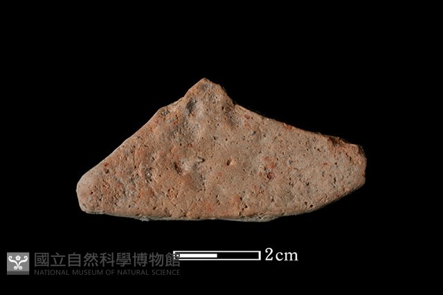 陶片藏品圖，第2張