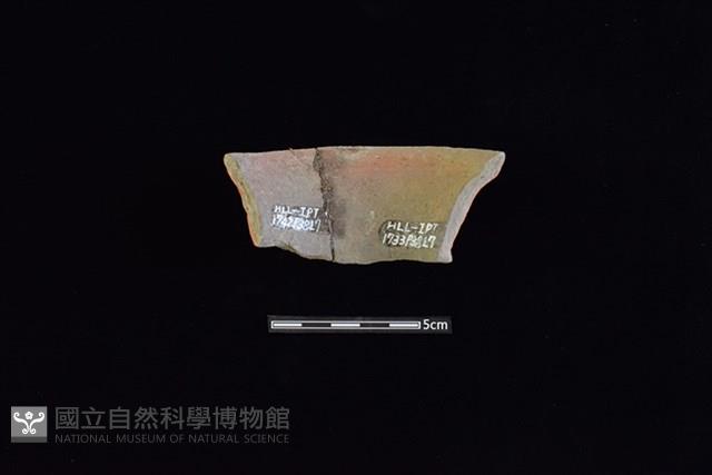 陶罐藏品圖，第2張