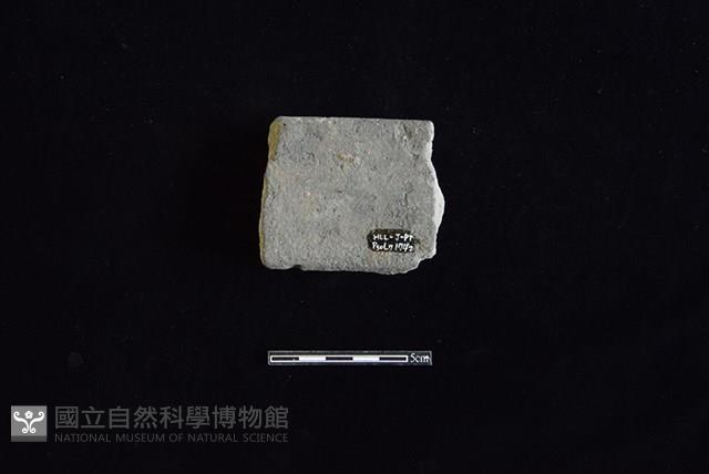 陶罐藏品圖，第2張