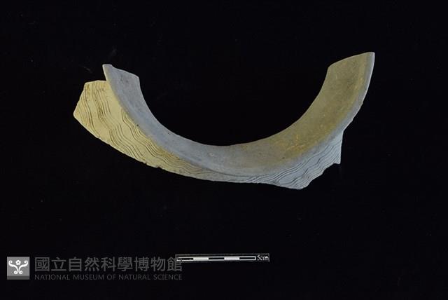 陶罐藏品圖，第2張