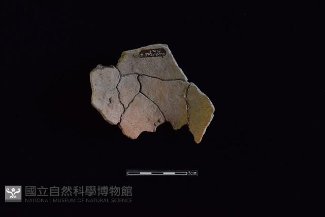 陶甑藏品圖，第2張