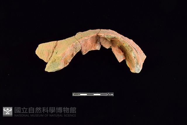 陶片藏品圖，第2張